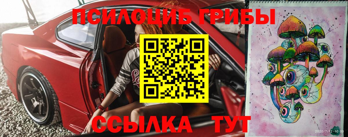 Псилоцибиновые грибы Cubensis  Вход с VPN  Менделеевск 